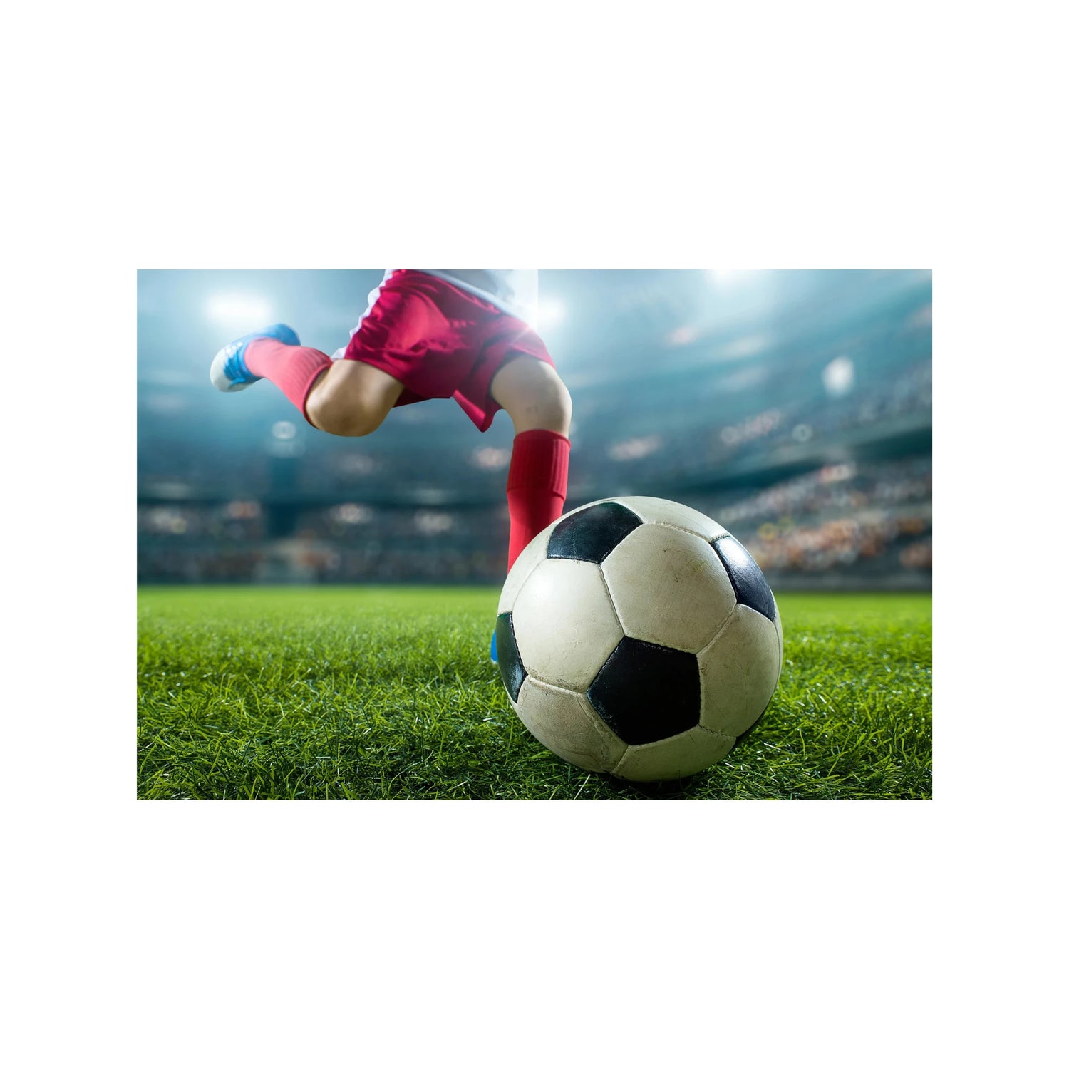 FIFA World Cup Merchandise
