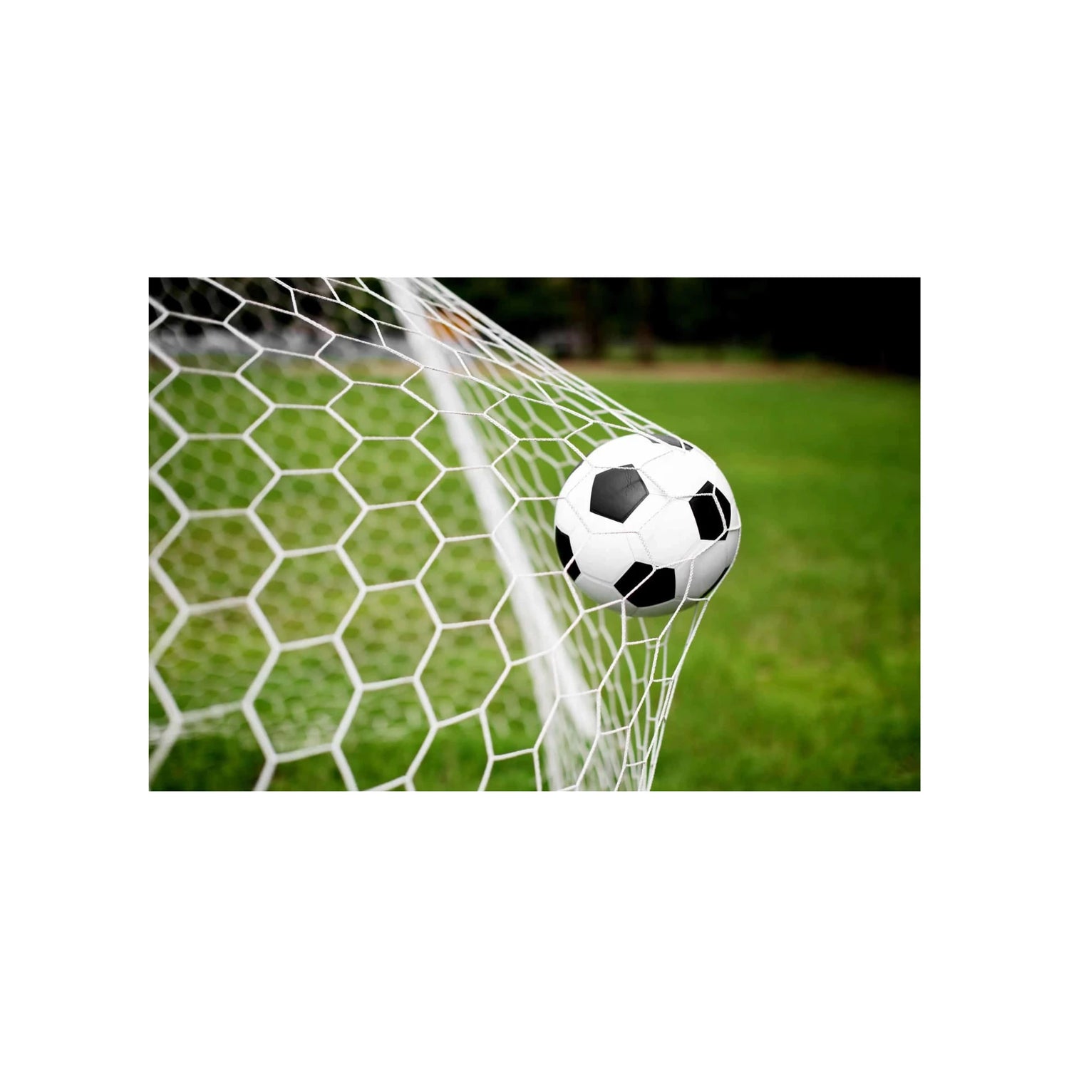 Soccer/Indoor Soccer